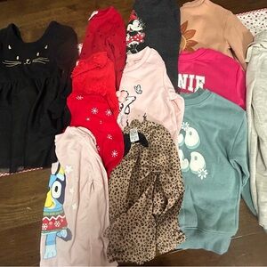 Toddler girls clothing bundle fall/winter long sleeves and crewnecks 3T